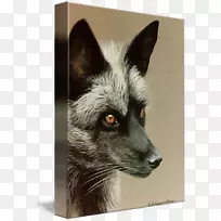 红狐银狐画廊彩绘毛皮-狐狸水彩画