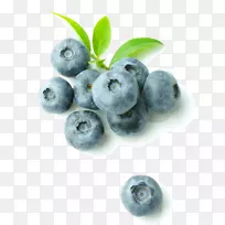蓝莓食品冰箱越橘酒冷却器-蓝莓