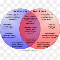 庞氏计划社会保障管理补充保障收入-社会保障