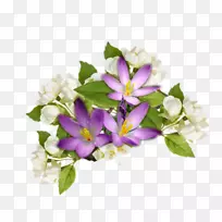 花卉设计紫丁香切花紫丁香