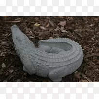 混凝土鳄鱼水泥塑像.Penticton