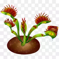 花盆植物茎花