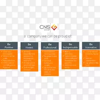 CNS集团业务公司视频计算机安全-业务