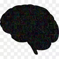 壳中鬼脑世界人工智能剪贴画-脑