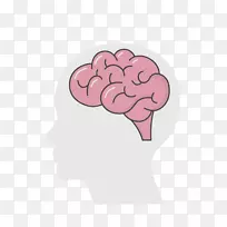 人脑人类行为粉红m神经学-脑