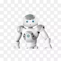 类人机器人软银机器人公司