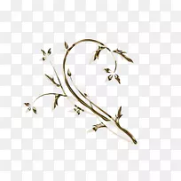 Naver博客植物茎-Piza