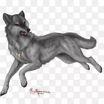 昆明狼狗捷克斯洛伐克狼狗萨鲁士狼狗Tervuren挪威麋鹿-mureoh ji Anhni