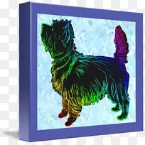 凯恩猎犬繁殖艺术-凯恩犬