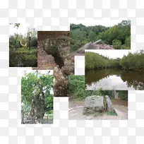 自然保护区水资源属性湿地植物区系
