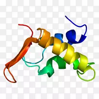 组蛋白H1组蛋白h3组蛋白去乙酰化酶甲基化