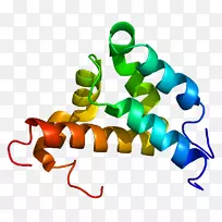 核受体辅激活剂3组蛋白类固醇激素受体