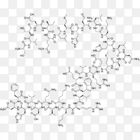 甲状旁腺骨质疏松重组DNA