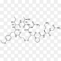 加压素激素抗利尿催产素受体