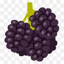 葡萄小浆果食品-葡萄