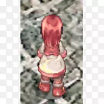 鸡半乳草4一只野鸡
