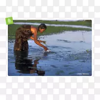 金边湄公河儿童水资源-里弗附近的儿童