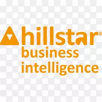 Hillstar商业解决方案商务智能能力bi微软-Business