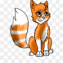 胡须小猫野猫红狐猫