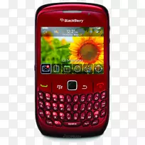 黑莓曲线9300智能手机Qwerty黑莓曲线8520-曲线红色
