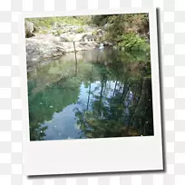 巴尤水资源自然保护区湿地画框-卡乔罗边境牧羊犬