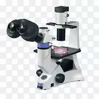 倒置显微镜、光学显微镜、荧光显微镜、数字显微镜