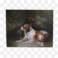 英国牧羊犬威尔士弹簧猎犬培育英国跳马猎犬