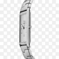 手表表带泰坦公司手表表带模拟手表