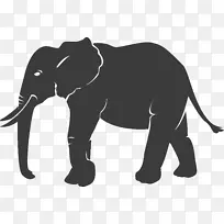 印度象非洲象牛-非洲指纹