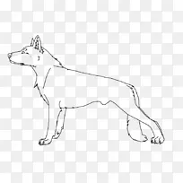 犬种小狗红狐线艺术-小狗