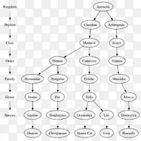 树形数据结构算法计算机科学-软物质