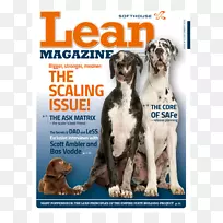犬种小狗伴犬精益犬