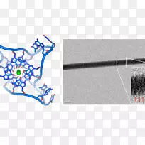 双螺旋：dna g-四链核酸结构发现的个人记述