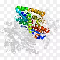 ART生物剪辑ART-腺苷脱氨酶zalpha结构域
