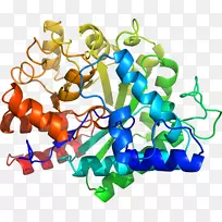 生物剪贴剂-腺苷脱氨酶zalpha结构域