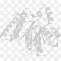 白线艺术角字体角