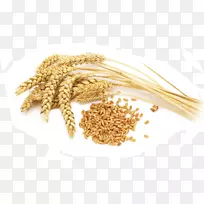 有机食品谷类全谷物硬粒小麦面粉