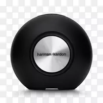 哈曼卡尔顿哈曼国际工业扩音器无线无限