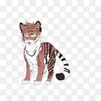 胡须虎猫毛虎