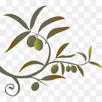 橄榄枝剪贴画-橄榄