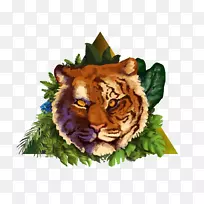 老虎大猫须野生动物-老虎