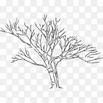 细枝线画植物茎叶