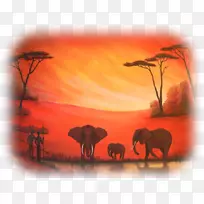 非洲象水彩画