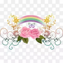 花卉设计面板彩色花园玫瑰绘图.三色