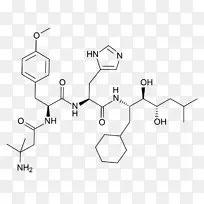 内啡肽β-内啡肽化学物质肾素
