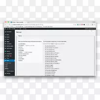 计算机程序Google分析页眉页脚WordPress-WordPress