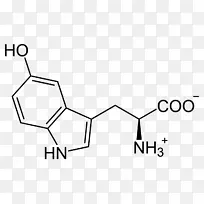 5-羟色胺-5-羟色胺化学色氨酸羟化酶