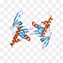 宝石相关蛋白6宝石相关蛋白7运动神经元基因保存蛋白修饰快速存活