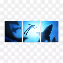 大白鲨游泳锤头鲨鳍鲨
