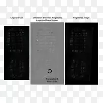 品牌白色字体设计